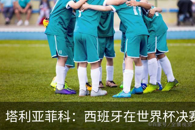 塔利亚菲科：西班牙在世界杯决赛上战术完胜我们