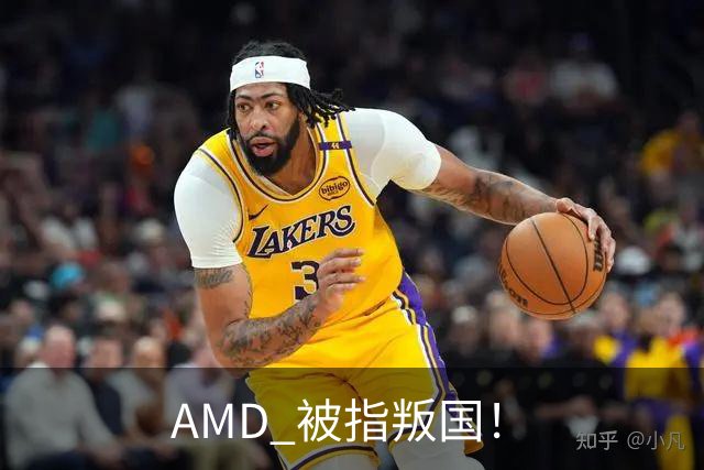 AMD 被指叛国！